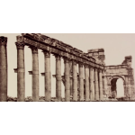 Journeys to the Ancient city of Palmyra in Syria